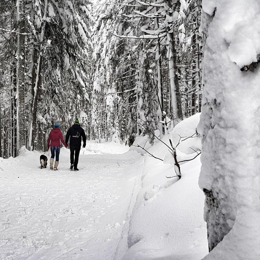 Appartement Schieplechnerhof à Schladming Extérieur photo
